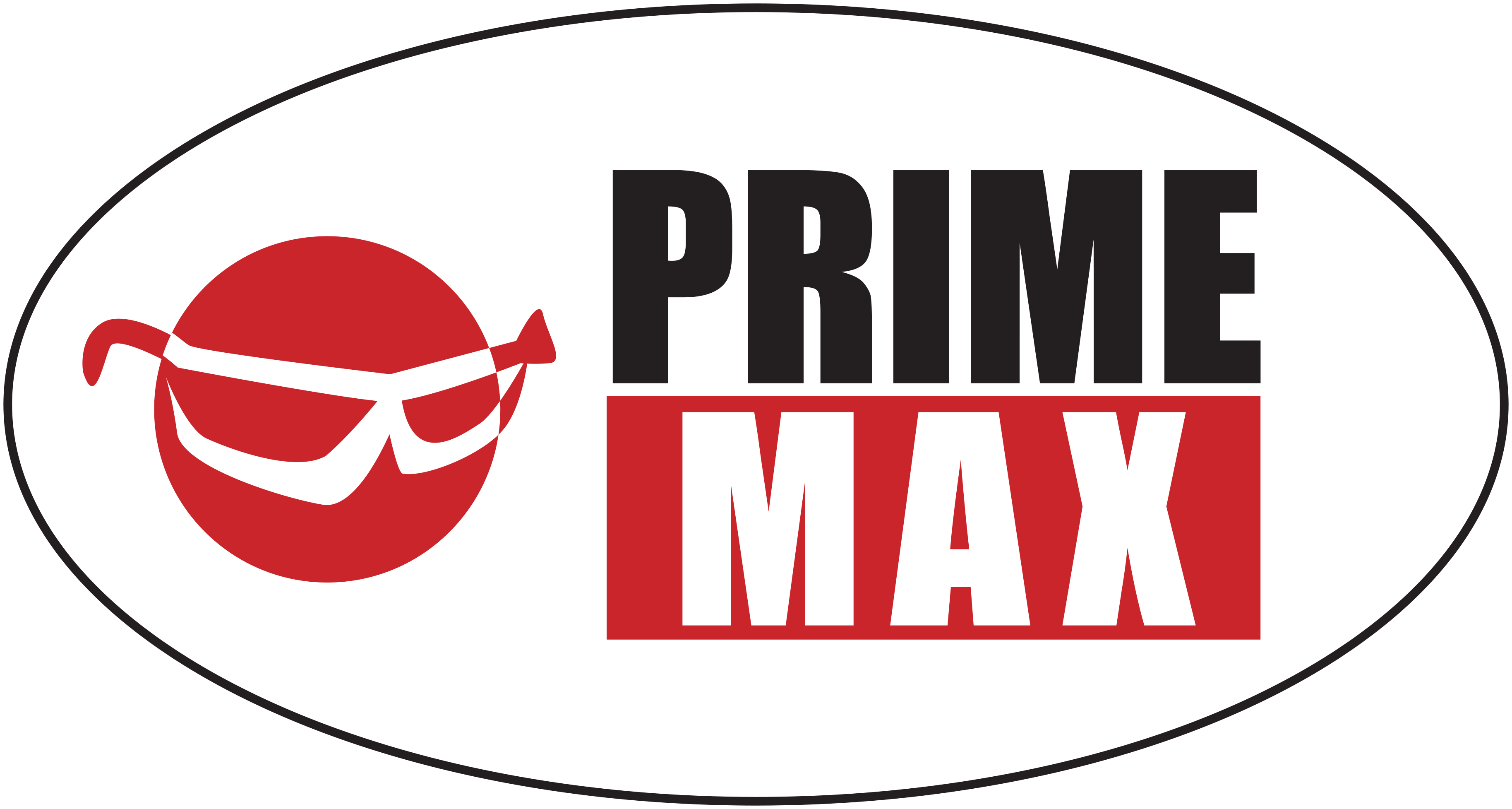 Prime Max logo with a red circle and goggles on a white background
